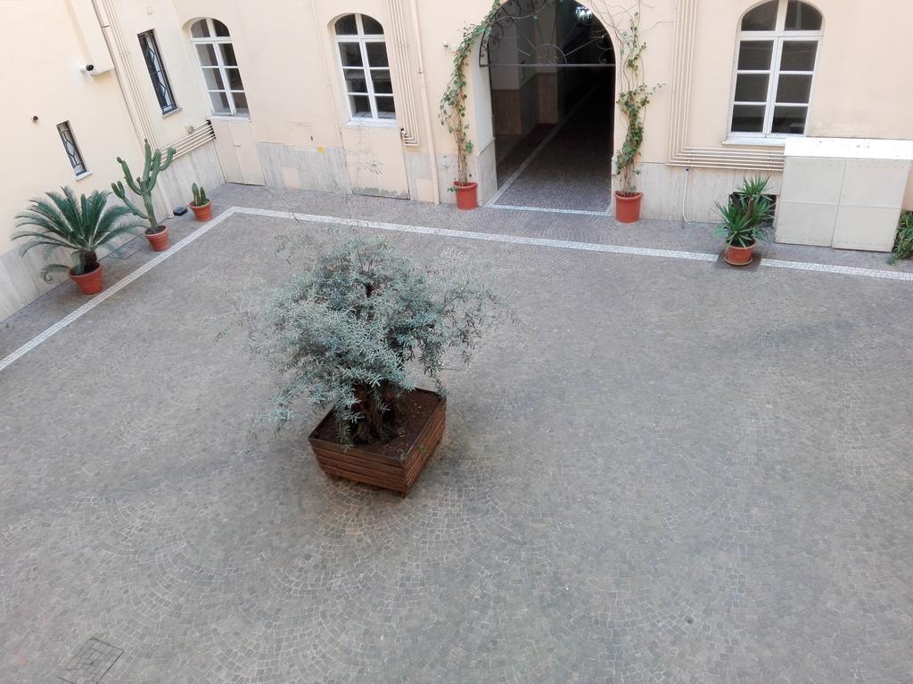 Laterano White Home - Colosseo Rzym Zewnętrze zdjęcie
